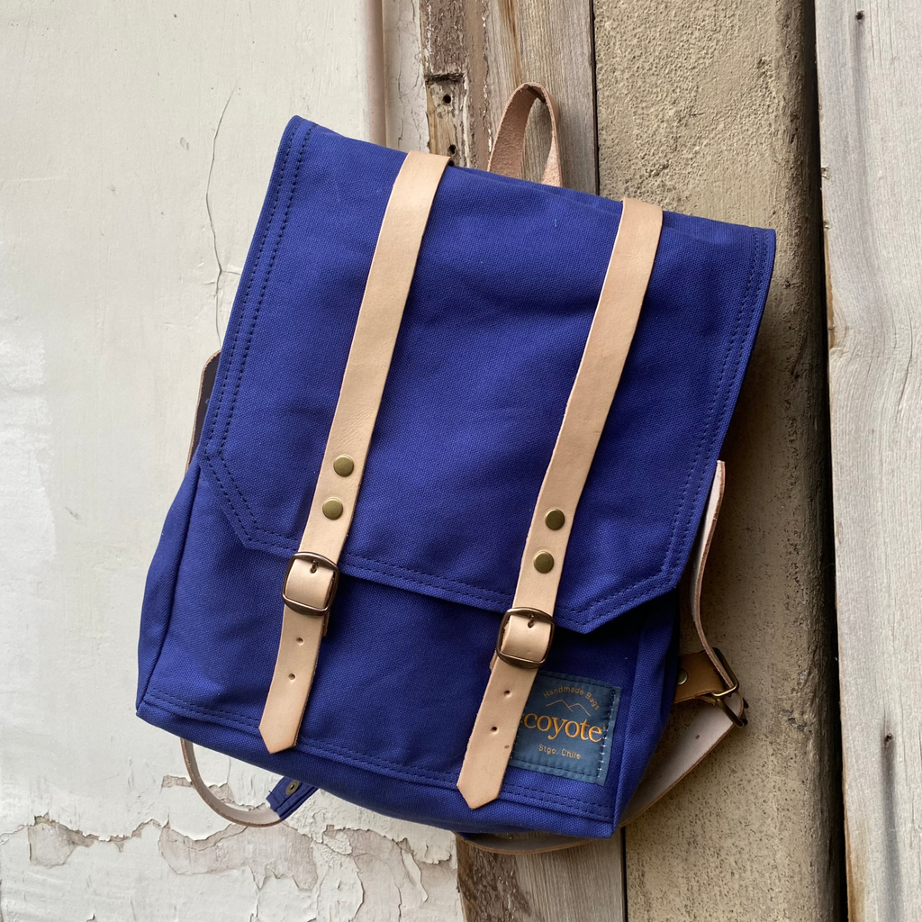 Mini Rucksack Azul Violeta