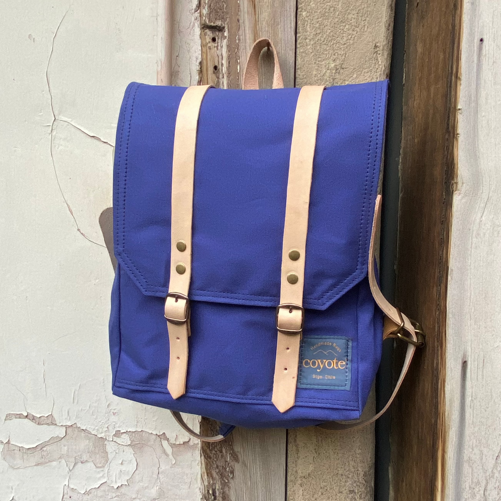 Mini Rucksack Azul Violeta