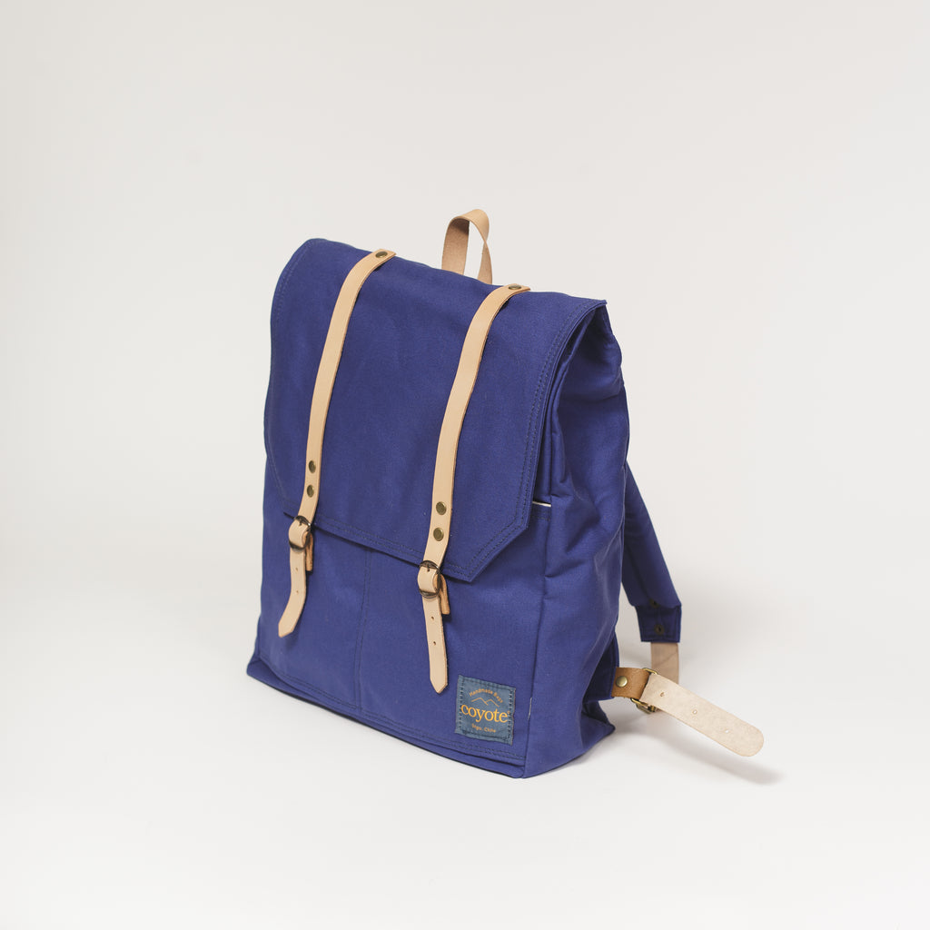 Rucksack Azul Violeta